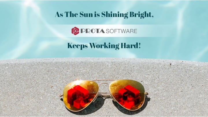 As the Sun is Shining Bright, Prota Software Keeps Working Hard